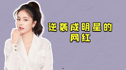 网红是例子,新时代的社交传播典范