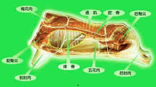 猪内脏的名称及图片