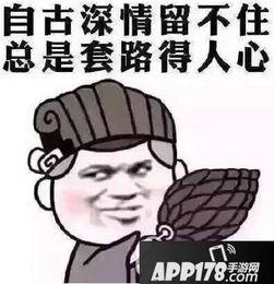 城会玩表情包,揭秘网络热传表情包背后的趣味与智慧